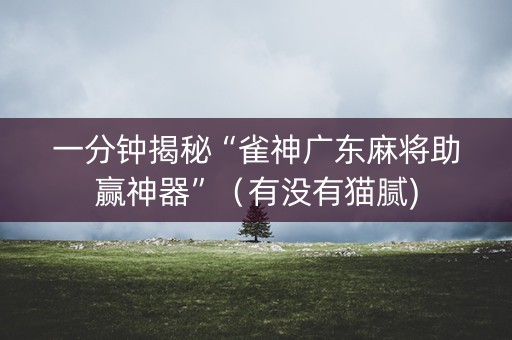 一分钟揭秘“雀神广东麻将助赢神器”（有没有猫腻)