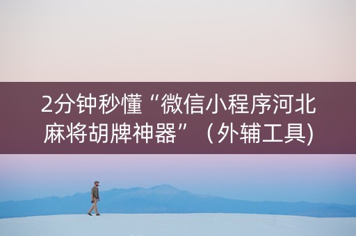 2分钟秒懂“微信小程序河北麻将胡牌神器”（外辅工具)