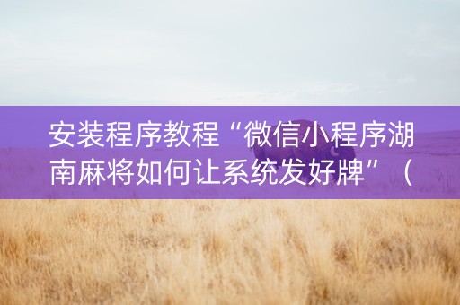 安装程序教程“微信小程序湖南麻将如何让系统发好牌”（外辅工具)