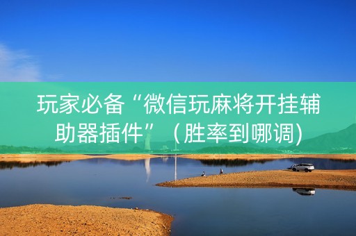 玩家必备“微信玩麻将开挂辅助器插件”（胜率到哪调)