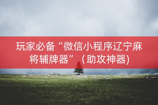 玩家必备“微信小程序辽宁麻将辅牌器”（助攻神器)