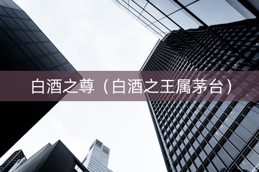 白酒之尊（白酒之王属茅台）