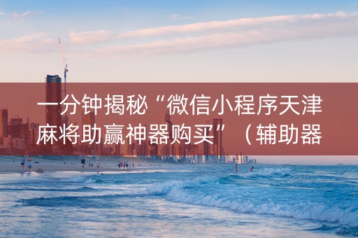 一分钟揭秘“微信小程序天津麻将助赢神器购买”（辅助器插件)