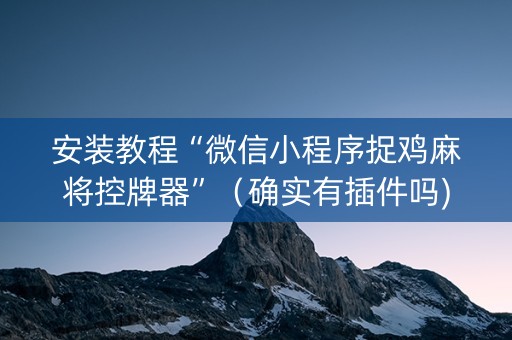 安装教程“微信小程序捉鸡麻将控牌器”（确实有插件吗)
