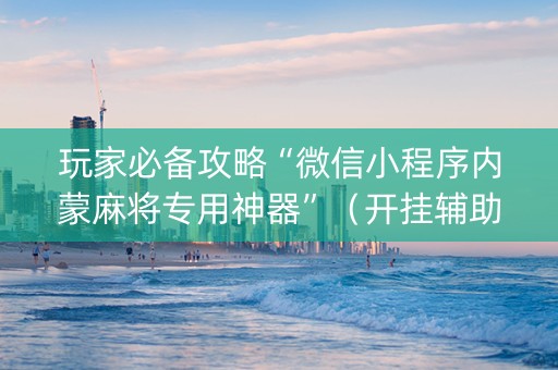 玩家必备攻略“微信小程序内蒙麻将专用神器”（开挂辅助插件)