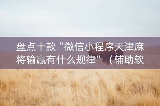 盘点十款“微信小程序天津麻将输赢有什么规律”（辅助软件)