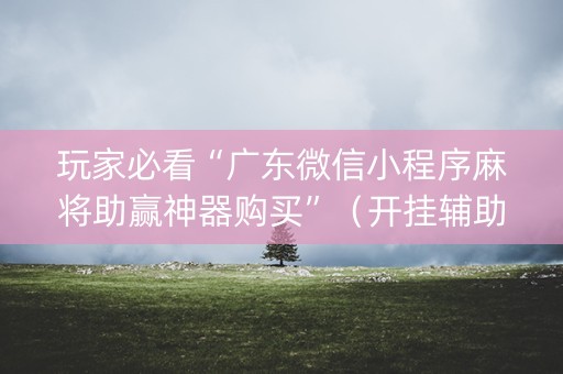 玩家必看“广东微信小程序麻将助赢神器购买”（开挂辅助脚本)