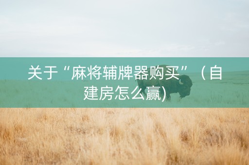 关于“麻将辅牌器购买”（自建房怎么赢)