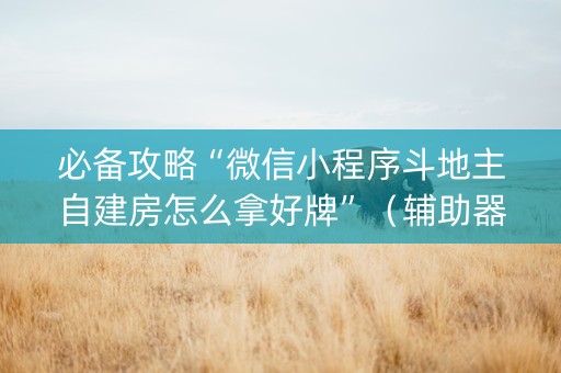 必备攻略“微信小程序斗地主自建房怎么拿好牌”（辅助器通用版)