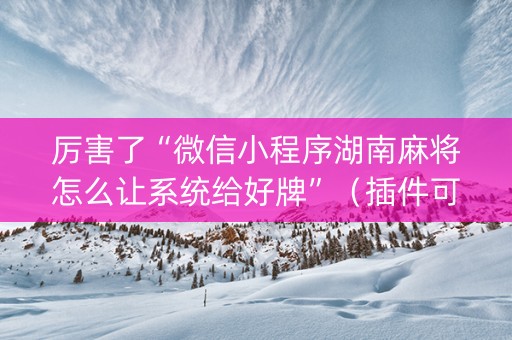 厉害了“微信小程序湖南麻将怎么让系统给好牌”（插件可信吗)