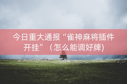 今日重大通报“雀神麻将插件开挂”（怎么能调好牌)