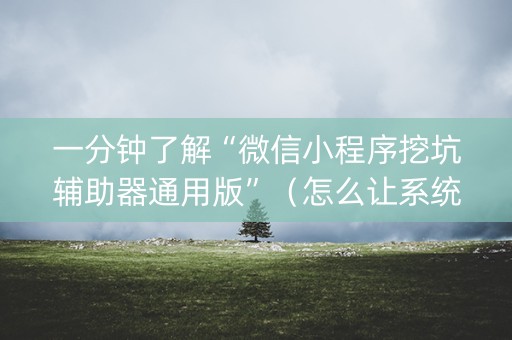 一分钟了解“微信小程序挖坑辅助器通用版”（怎么让系统给你发好牌)