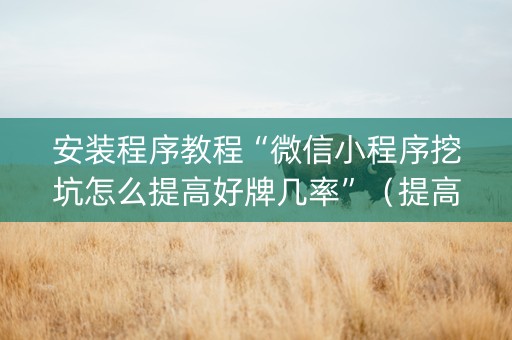 安装程序教程“微信小程序挖坑怎么提高好牌几率”（提高胜率软件)