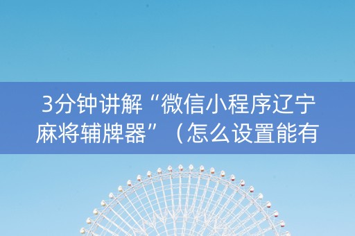 3分钟讲解“微信小程序辽宁麻将辅牌器”（怎么设置能有好牌)