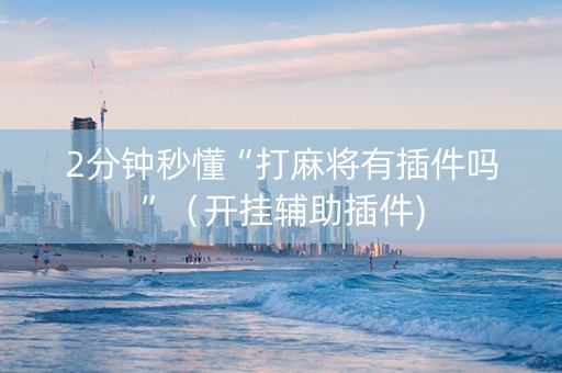 2分钟秒懂“打麻将有插件吗”（开挂辅助插件)
