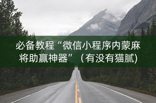 必备教程“微信小程序内蒙麻将助赢神器”（有没有猫腻)