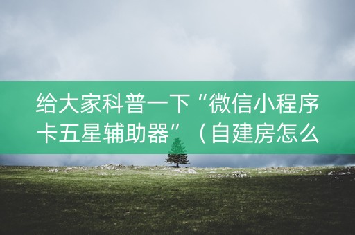 给大家科普一下“微信小程序卡五星辅助器”（自建房怎么拿好牌)