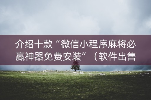 介绍十款“微信小程序麻将必赢神器免费安装”（软件出售)