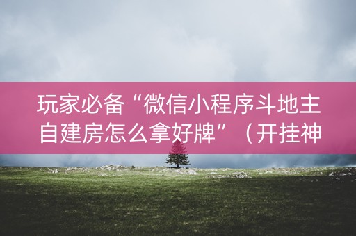 玩家必备“微信小程序斗地主自建房怎么拿好牌”（开挂神器下载)