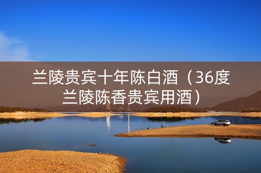 兰陵贵宾十年陈白酒（36度兰陵陈香贵宾用酒）