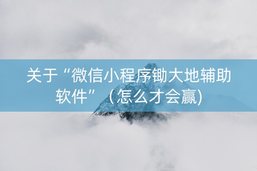 关于“微信小程序锄大地辅助软件”（怎么才会赢)