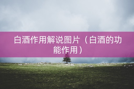 白酒作用解说图片（白酒的功能作用）