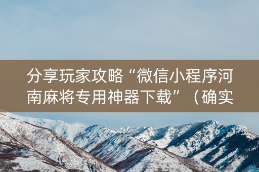 分享玩家攻略“微信小程序河南麻将专用神器下载”（确实有插件吗)