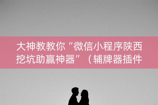 大神教教你“微信小程序陕西挖坑助赢神器”（辅牌器插件购买)