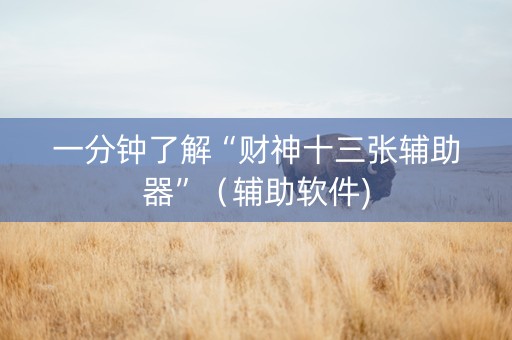 一分钟了解“财神十三张辅助器”（辅助软件)