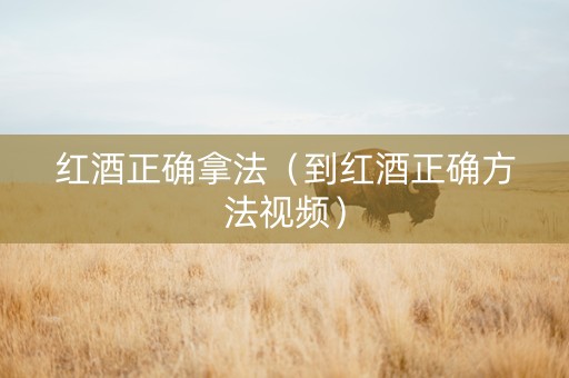 红酒正确拿法（到红酒正确方法视频）