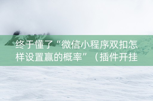 终于懂了“微信小程序双扣怎样设置赢的概率”（插件开挂免费AI)