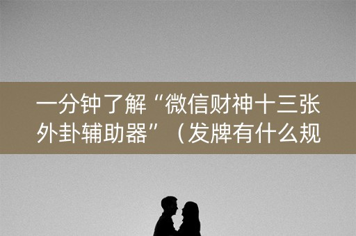 一分钟了解“微信财神十三张外卦辅助器”（发牌有什么规律吗)