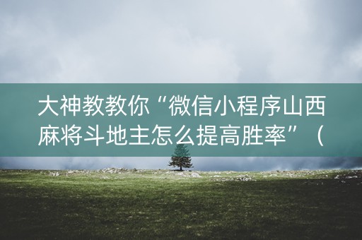 大神教教你“微信小程序山西麻将斗地主怎么提高胜率”（开挂辅助脚本)