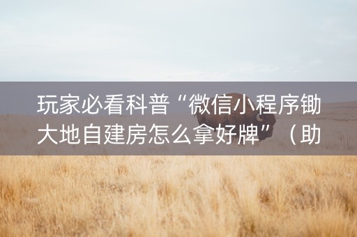 玩家必看科普“微信小程序锄大地自建房怎么拿好牌”（助赢神器)