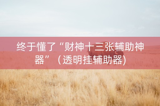 终于懂了“财神十三张辅助神器”（透明挂辅助器)
