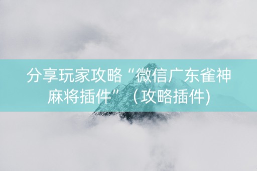 分享玩家攻略“微信广东雀神麻将插件”（攻略插件)