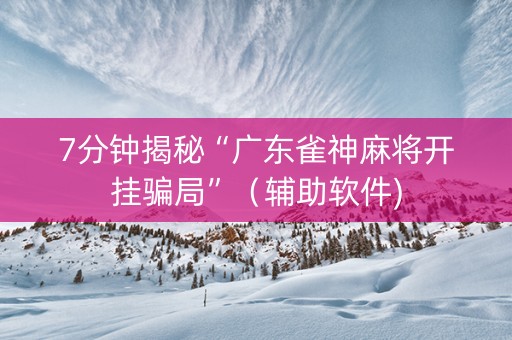 7分钟揭秘“广东雀神麻将开挂骗局”（辅助软件)