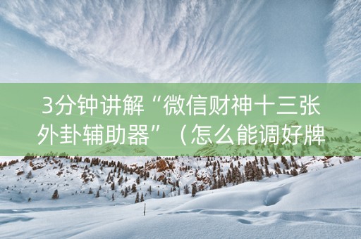3分钟讲解“微信财神十三张外卦辅助器”（怎么能调好牌)