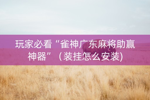 玩家必看“雀神广东麻将助赢神器”（装挂怎么安装)