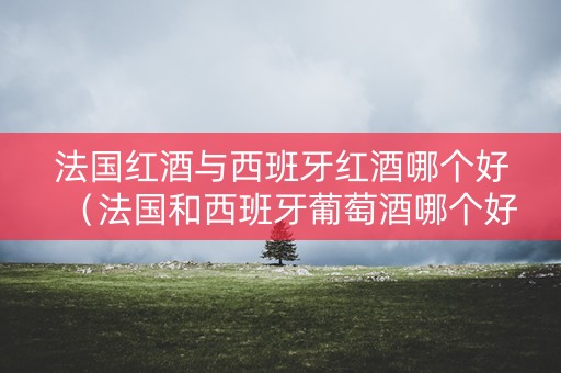 法国红酒与西班牙红酒哪个好（法国和西班牙葡萄酒哪个好喝）