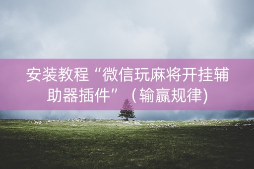 安装教程“微信玩麻将开挂辅助器插件”（输赢规律)