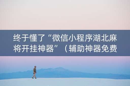 终于懂了“微信小程序湖北麻将开挂神器”（辅助神器免费)