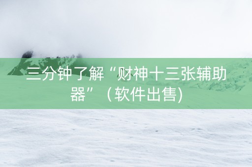 三分钟了解“财神十三张辅助器”（软件出售)