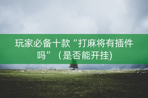 玩家必备十款“打麻将有插件吗”（是否能开挂)