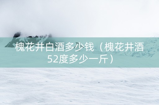 槐花井白酒多少钱（槐花井酒52度多少一斤）
