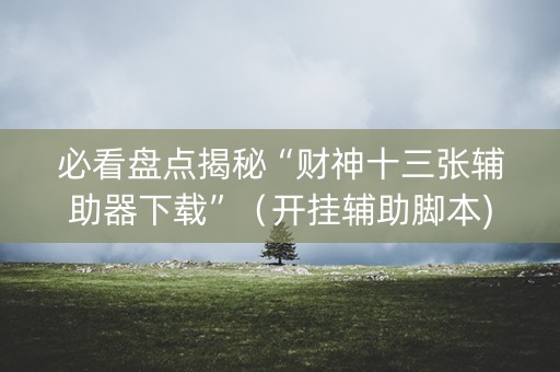必看盘点揭秘“财神十三张辅助器下载”（开挂辅助脚本)
