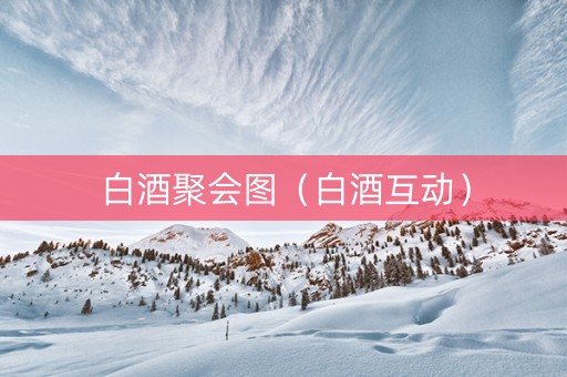 白酒聚会图（白酒互动）