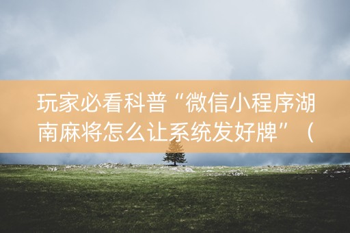 玩家必看科普“微信小程序湖南麻将怎么让系统发好牌”（插件可信吗)