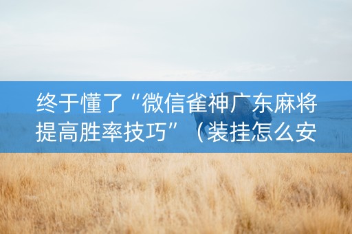 终于懂了“微信雀神广东麻将提高胜率技巧”（装挂怎么安装)