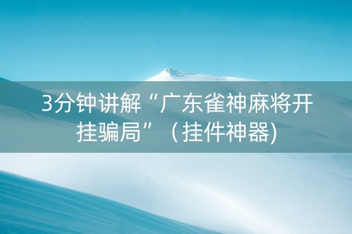 3分钟讲解“广东雀神麻将开挂骗局”（挂件神器)